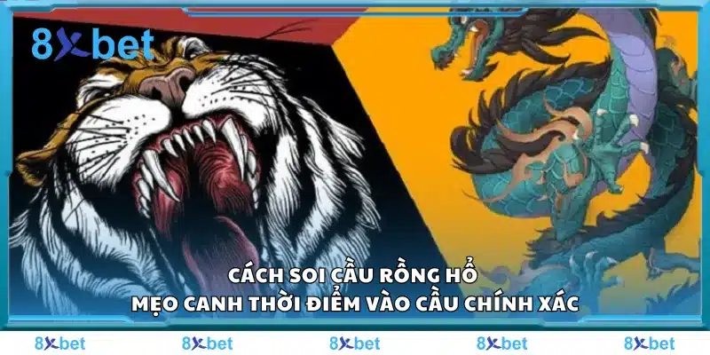 Cách soi cầu Rồng Hổ – Mẹo canh thời điểm vào cầu chính xác