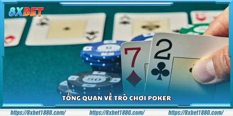 Giới thiệu chung về Poker – Trò chơi trí tuệ hấp dẫn